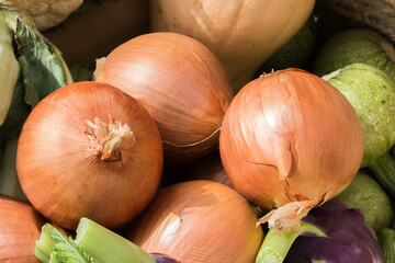 Big brown onions on top of other vegetables