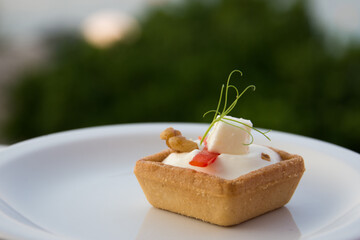 A single piece of finger food on a small white plate with a blurred green trees  in the background 