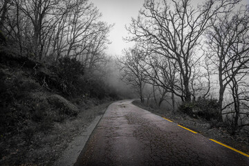 carretera del Valle del Jerte en invierno