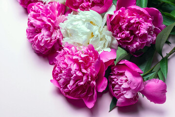 Top view of mix peonies bouquet isolated on pink background. Flat lay composition, copy space, close up