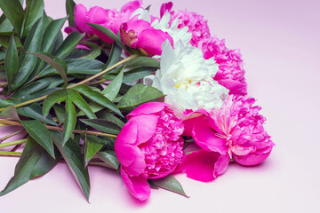 Side view of mix peonies bouquet isolated on pink background. Flat lay composition, copy space, close up