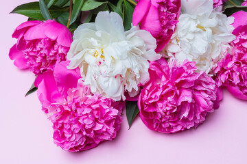 Top view of fuchsia and white peonies bouquet isolated on pink background. Flat lay composition, close up. Idea for decor