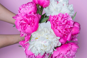 Top view of white and fuchsia peonies bouquet in female hands isolated on pink background. Close up. Idea for postcard, poster, wallpaper