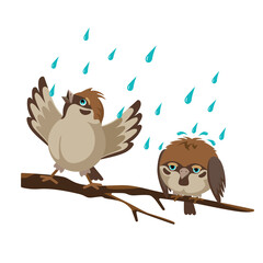 Two sparrows on a branch. One enjoys the rain, the other sits sad. Two emotions at one phenomenon. Vector isolated image on a white background.
