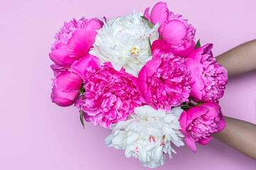 Top view of mix peonies bouquet in female hands isolated on pink background. Close up. Idea for postcard, poster, wallpaper