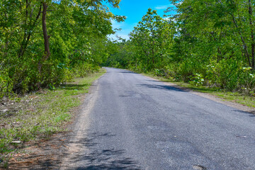 Fototapeta na wymiar Black Road Image Including Gree Tree & Blue Sky 2.