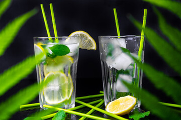 Refreshing summer cocktail of lemon, lime and ice cubes. Black background