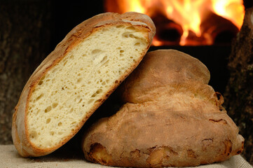 typical Apulian DOP durum wheat bread from Altamura cooked in wood oven with a crispy crust