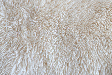 Texture of wool skin. Sheep skin closeup, background, banner