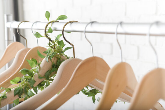 植物の絡まるハンガー