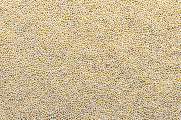 Scattered and polished groats of millet texture. Grains pattern, food background, texture idea
