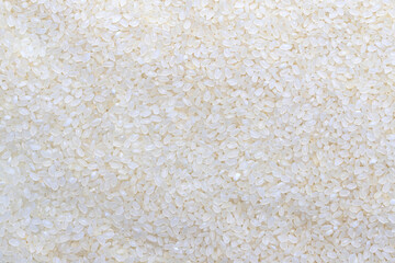Scattered and uncooked Asian white rice texture. Grains pattern, food background, texture idea