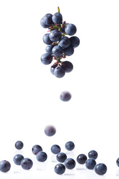 巨峰の房からこぼれ落ちる果実