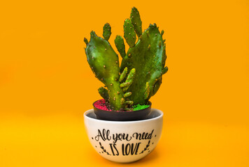 Small cactus in an "All you need is love" white pot over an orange background