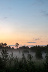 Sunset in a misty summer forest