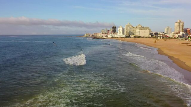 Aerial shot of bird flying over waves in sea near city, drone flying backward from beach against sky - Punta del Este, Uruguay
