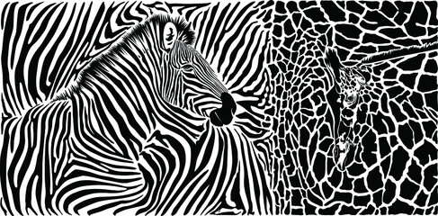 Fototapeta na wymiar Animal background with zebra and giraffe motif