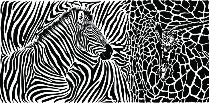 Animal background with zebra and giraffe motif