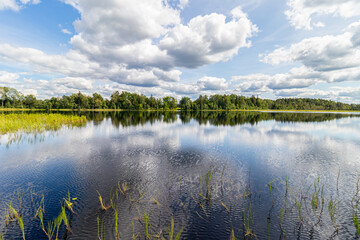 Fototapeta premium Wonderful landscape with lake on a sunny summer day. Blue sky with cumulus clouds reflected in calm water. Latvia. 