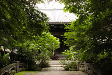 日本の歴史ある家の敷地内です。