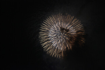 夜を彩る花火です。日本にて。
とても綺麗です。