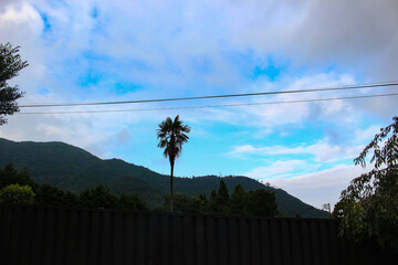 まるでハワイに来たかの様なきれいな空。
そして大自然。
ここは日本です。