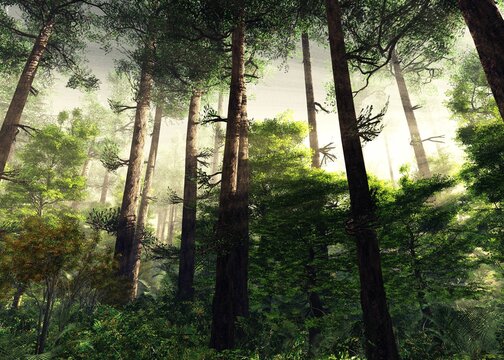 Trees in the rays, the forest in the fog, morning haze in the forest, a ray of sun in the forest, 3D rendering