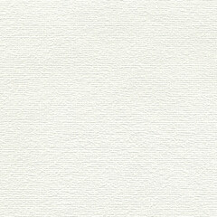 white paper texture