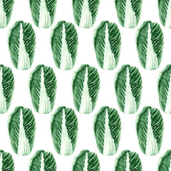 Watercolor seamless pattern with images of various types of cabbage. Heads and leaves of Peking and white cabbage