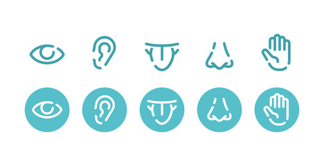 Five basic human senses - touch, sight, hearing, smell and taste - Sensing organs icons - eye, mouth, ear, nose and hand, medical icons collection - isolated vector set