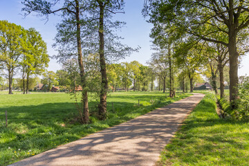 Fototapeta na wymiar Country road in the landscape of Overijssel, Netherlands