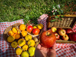 Delicious sweet apple, perfect for a picnic day in the park.