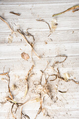 Earthy Texture Wood Panel Background