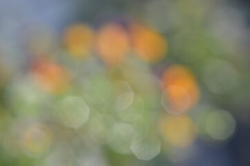blurred bokeh background