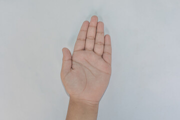 Symbol Of Hi. Emoji Style Hands Picture.