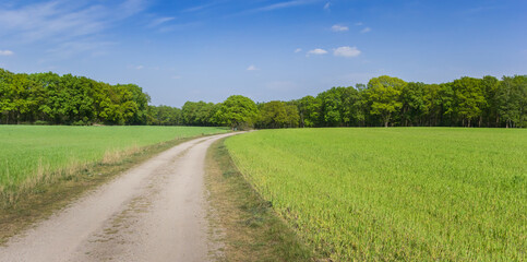 Dirt road in the landscape of Overijssel, Netherlands