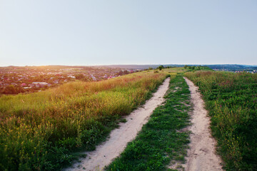Fototapeta na wymiar Path through meadow at sunset. Places for walk on fresh air in summer.