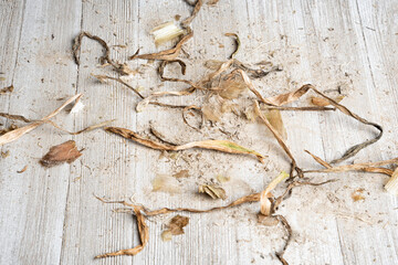 Earthy Texture Wood Panel Background