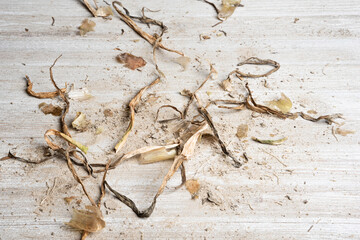 Earthy Texture Wood Panel Background