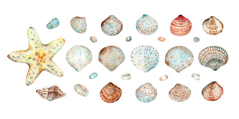 Watercolor collection of seashells, starfish, snails, sea pebbles and glass in style doodle watercolor, isolated on white background. Design elements for decoration.
