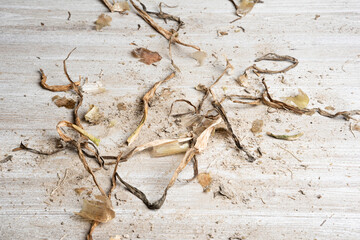 Earthy Texture Wood Panel Background