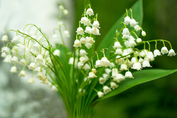  lilies of the valley in her hand against a background of birches and greenery