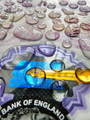 Obraz premium Close up of a twenty pound note covered with water droplets