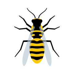 Wasp flat vector illustration isolated on white