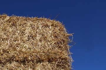 agriculture, background, bale, brown, close up, closeup, crop, design, detail, dry, farm, farming, feed, gold, large, macro, natural, nature, plant, straw, summer, texture, textured, web page, wheat, 