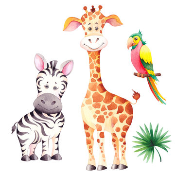 Little giraffe, zebra and parrot. Cartoon african animal characters.