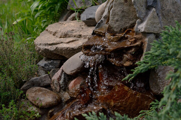 Alpine slide with stones, various ornamental plants and a waterfall