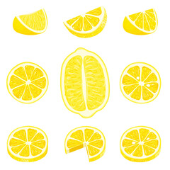 Set of whole, cut in half, sliced on pieces fresh lemons and lemon peel. Hand drawn vector illustration isolated on white background