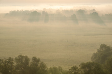 Fototapeta premium The fog in the first minutes of dawn in the floodplain of the river Beautiful Sword. Silhouettes of trees in the mist. Tula region. June 2020