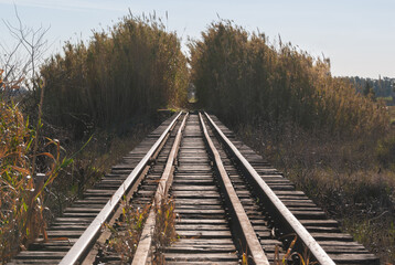 Obraz premium Vías del tren con cañas, paisaje de campo